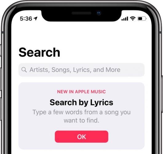 iOS - 12-Music-app-Search-by-Lyrics-teaser-530 × 500 