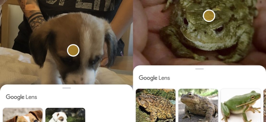 how-to-use-google-lens-5 