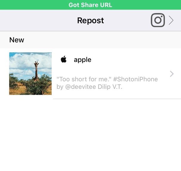 How to repost on Instagram with iPhone: 4 easy ways